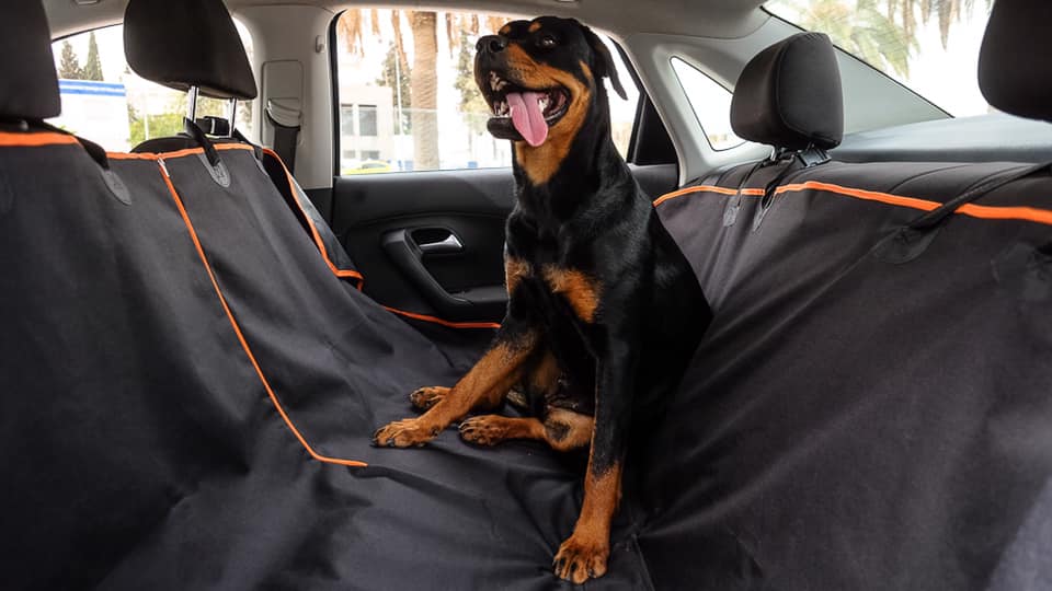 Housse de Voiture Étanche pour Chien - Protection Banquette Arrière